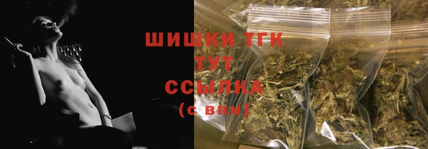 шишки Дмитриев