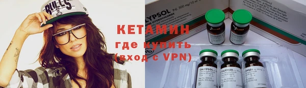 шишки Дмитриев