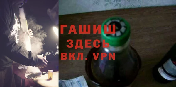 шишки Дмитриев