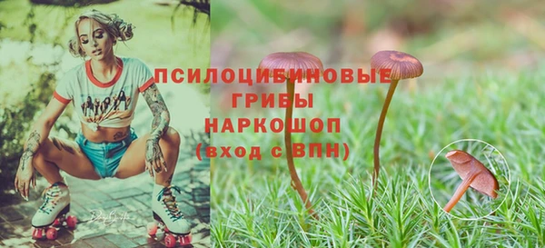 прущие крисы Тавда