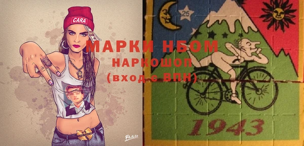 шишки Дмитриев