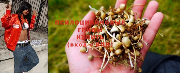 бутират Тайга