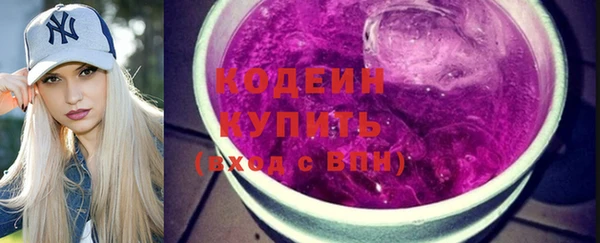 шишки Дмитриев