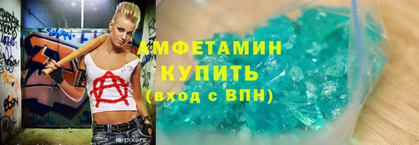 шишки Дмитриев
