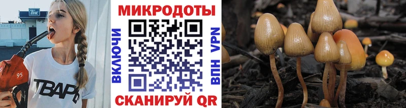 Галлюциногенные грибы MAGIC MUSHROOMS  Кувандык 