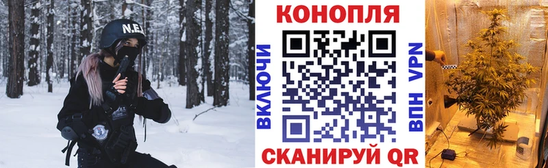 blacksprut как войти  Кувандык  Бошки марихуана планчик 
